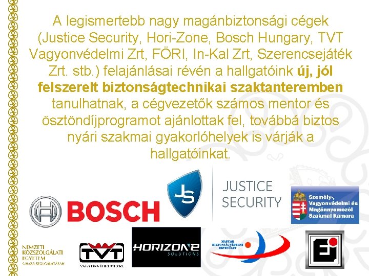 A legismertebb nagy magánbiztonsági cégek (Justice Security, Hori-Zone, Bosch Hungary, TVT Vagyonvédelmi Zrt, FÖRI,