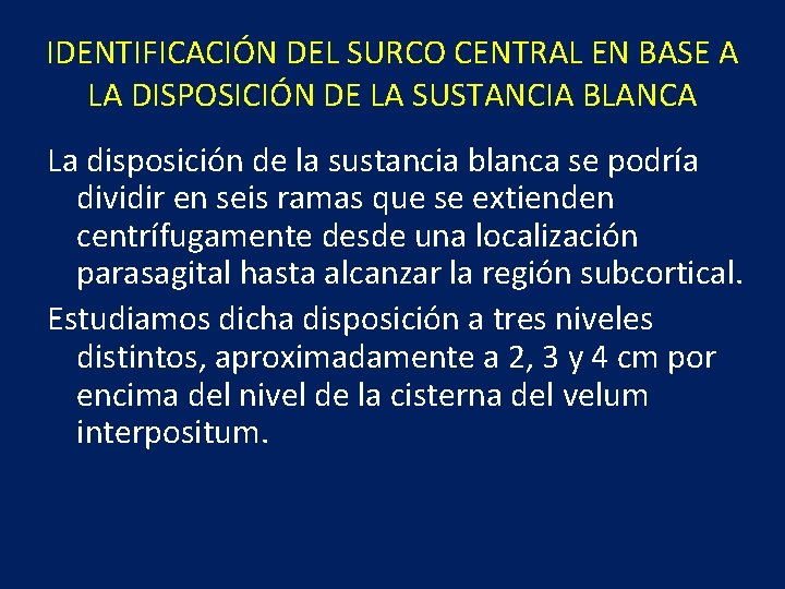 IDENTIFICACIÓN DEL SURCO CENTRAL EN BASE A LA DISPOSICIÓN DE LA SUSTANCIA BLANCA La