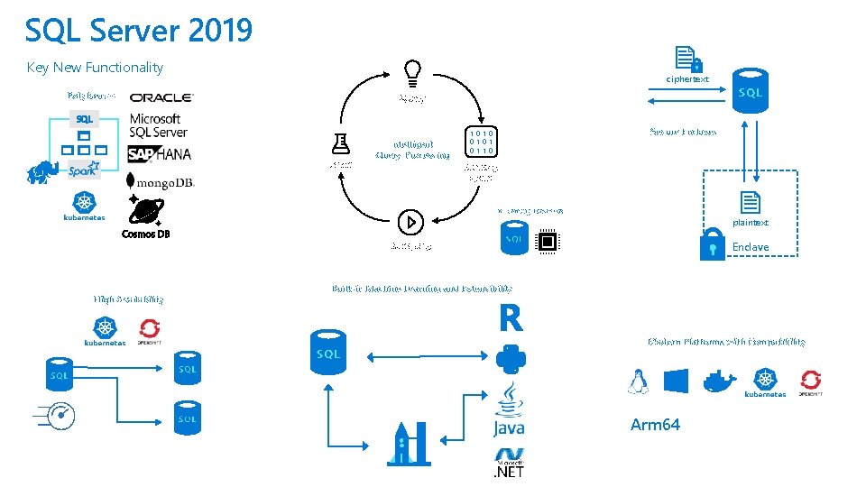 SQL Server 2019 Key New Functionality ciphertext Polybase++ Query SQL Learn Intelligent Query Processing