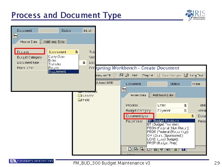Process and Document Type FM_BUD_300 Budget Maintenance v 3 29 