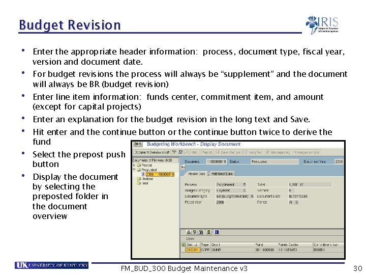 Budget Revision • • Enter the appropriate header information: process, document type, fiscal year,