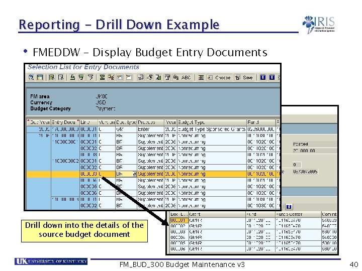 Reporting – Drill Down Example • FMEDDW – Display Budget Entry Documents Drill down
