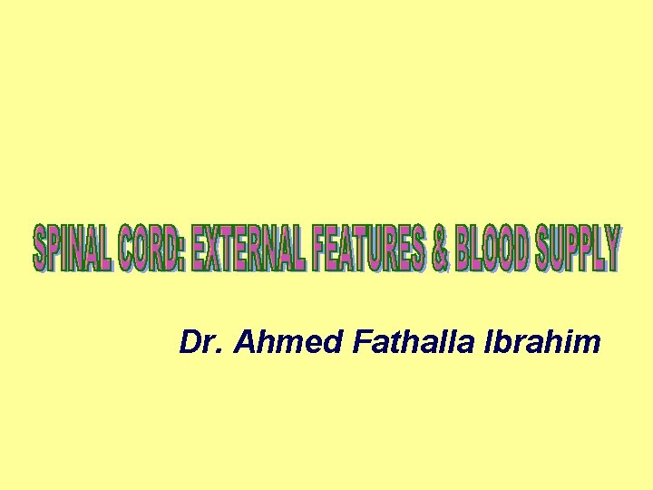 Dr. Ahmed Fathalla Ibrahim 