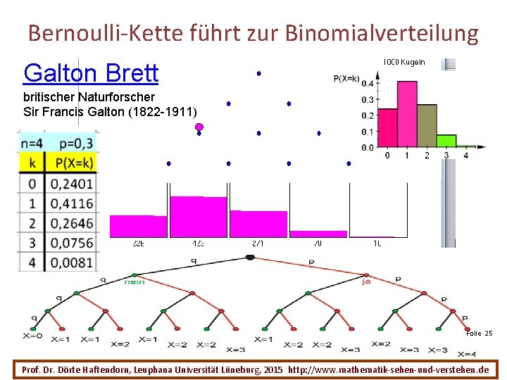 Bernoulli-Kette führt zur Binomialverteilung Galton Brett britischer Naturforscher Sir Francis Galton (1822 -1911) Folie