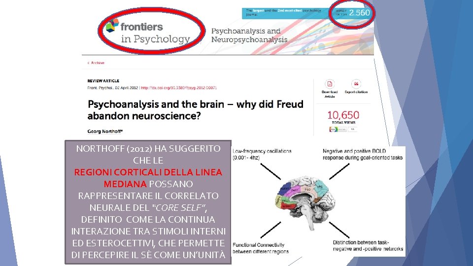 NORTHOFF (2012) HA SUGGERITO CHE LE REGIONI CORTICALI DELLA LINEA MEDIANA POSSANO RAPPRESENTARE IL