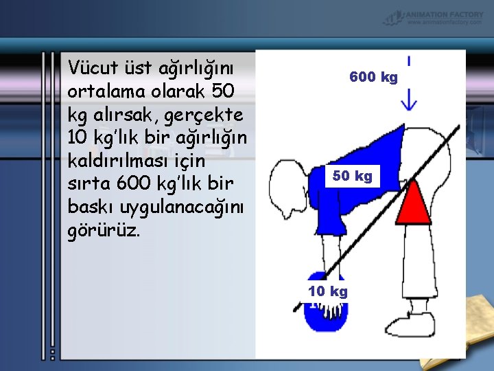Vücut üst ağırlığını ortalama olarak 50 kg alırsak, gerçekte 10 kg’lık bir ağırlığın kaldırılması