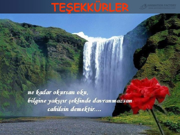 TEŞEKKÜRLER 