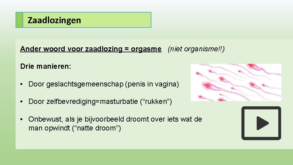 Zaadlozingen Ander woord voor zaadlozing = orgasme (niet organisme!!) Drie manieren: • Door geslachtsgemeenschap