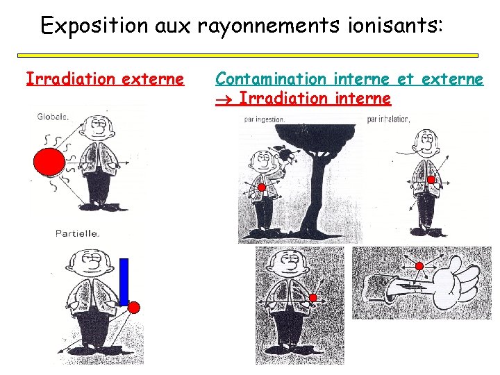 Exposition aux rayonnements ionisants: Irradiation externe Contamination interne et externe Irradiation interne 