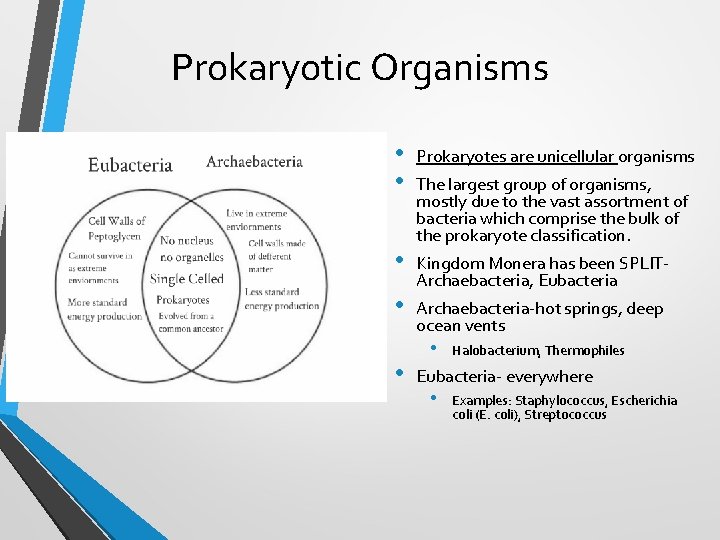 Prokaryotic Organisms • • Prokaryotes are unicellular organisms • Kingdom Monera has been SPLITArchaebacteria,