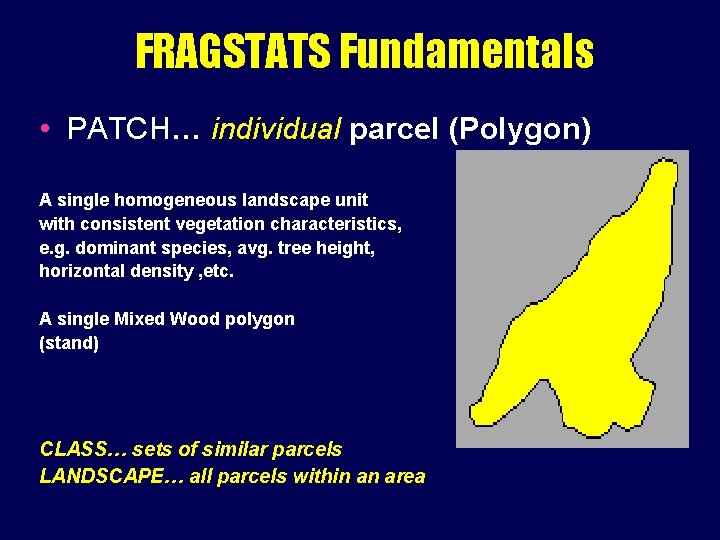 FRAGSTATS Fundamentals • PATCH… individual parcel (Polygon) A single homogeneous landscape unit with consistent FRAGSTATS Fundamentals • PATCH… individual parcel (Polygon) A single homogeneous landscape unit with consistent