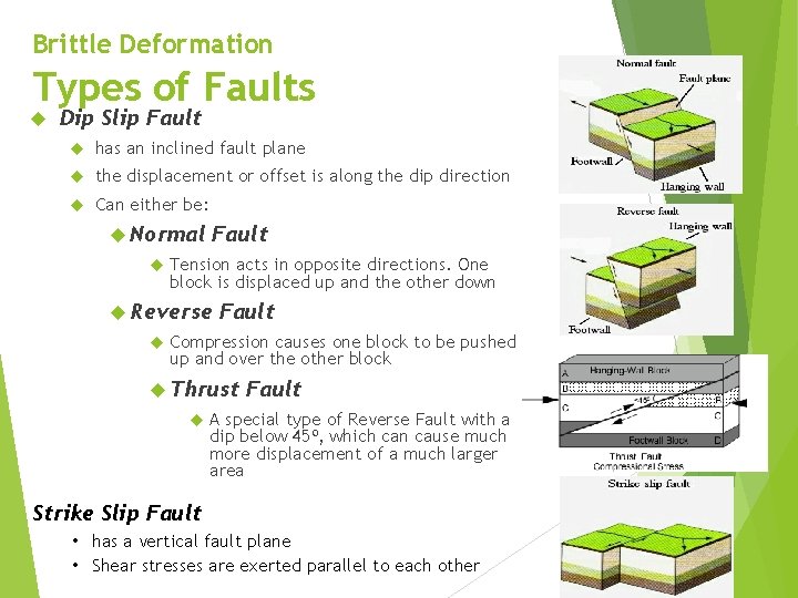 Brittle Deformation Types of Faults Dip Slip Fault has an inclined fault plane the