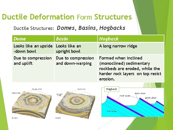 Ductile Deformation Form Structures Ductile Structures: Domes, Basins, Hogbacks Dome Basin Hogback Looks like