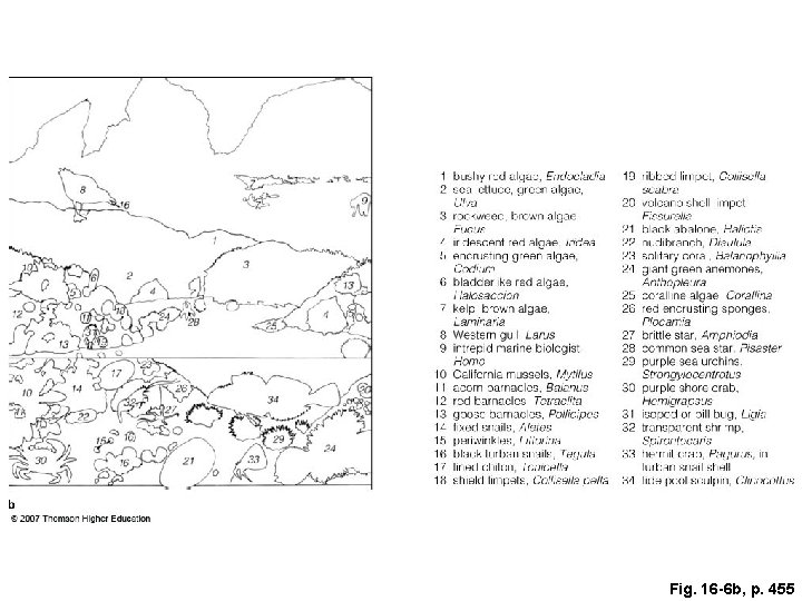 Fig. 16 -6 b, p. 455 