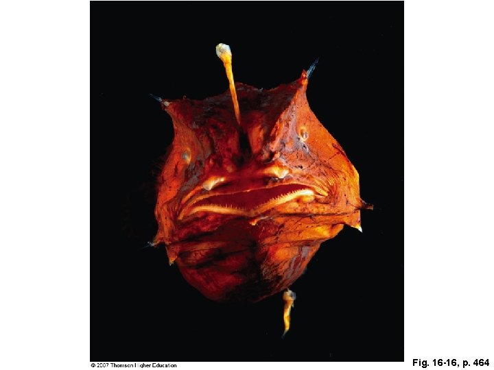Fig. 16 -16, p. 464 