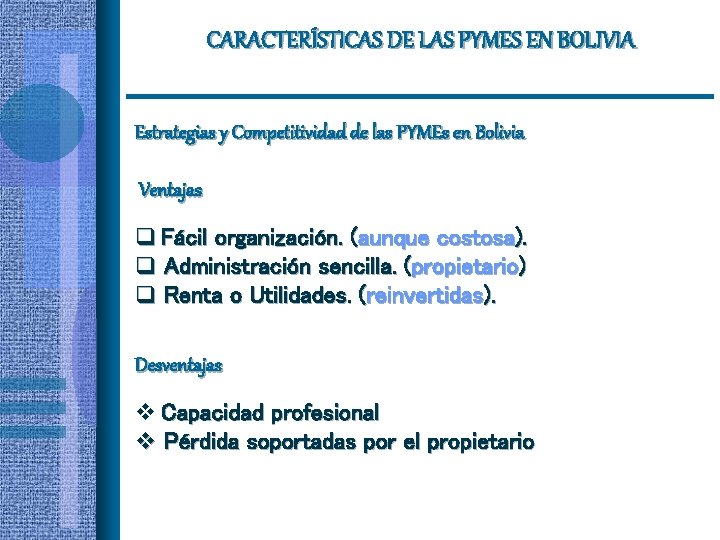 CARACTERÍSTICAS DE LAS PYMES EN BOLIVIA Estrategias y Competitividad de las PYMEs en Bolivia