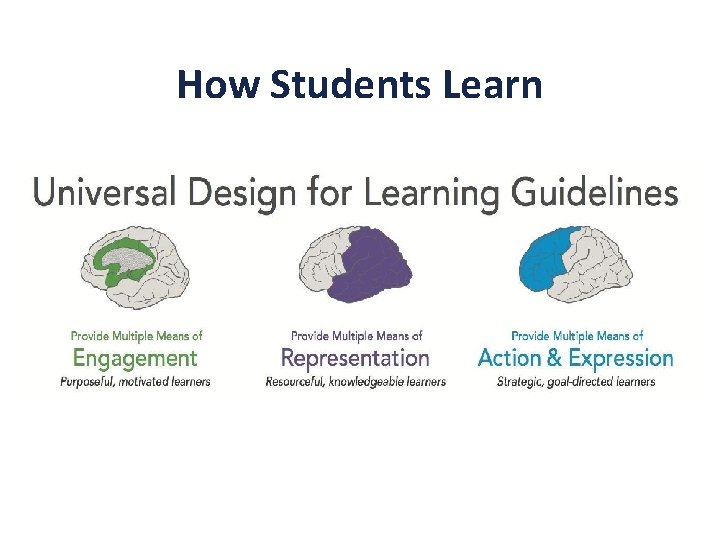 How Students Learn 