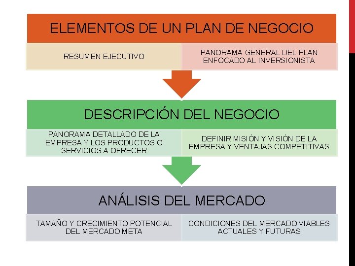 ELEMENTOS DE UN PLAN DE NEGOCIO RESUMEN EJECUTIVO PANORAMA GENERAL DEL PLAN ENFOCADO AL