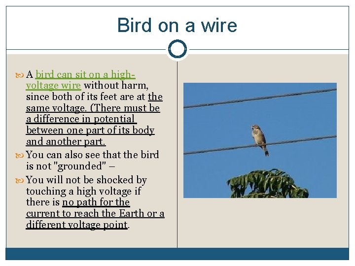 Bird on a wire A bird can sit on a high- voltage wire without