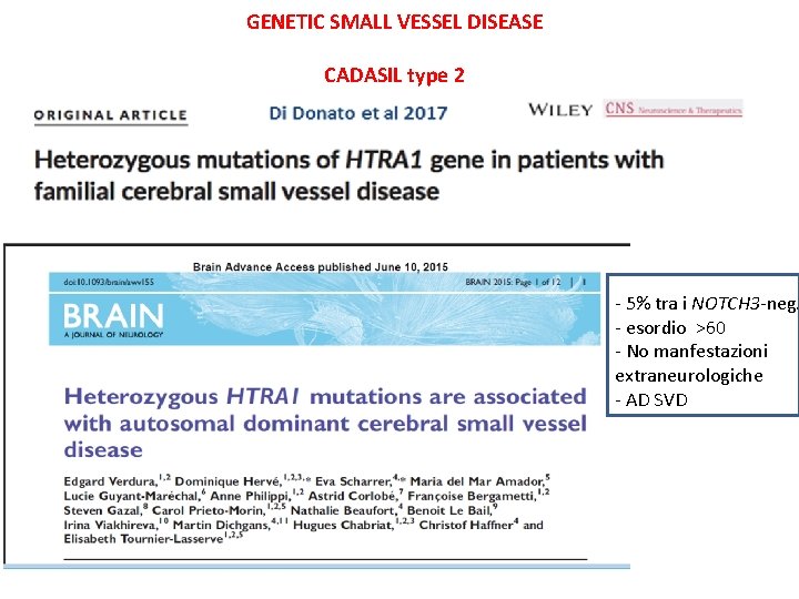 GENETIC SMALL VESSEL DISEASE CADASIL type 2 - 5% tra i NOTCH 3 -neg. GENETIC SMALL VESSEL DISEASE CADASIL type 2 - 5% tra i NOTCH 3 -neg.