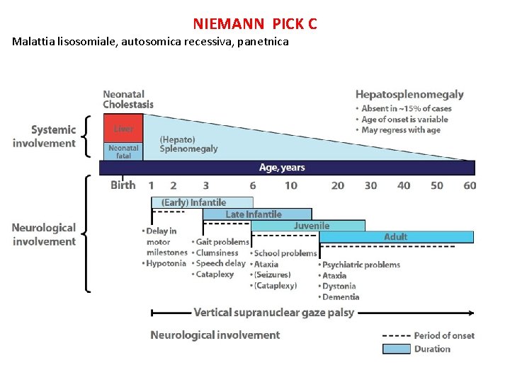 NIEMANN PICK C Malattia lisosomiale, autosomica recessiva, panetnica NIEMANN PICK C Malattia lisosomiale, autosomica recessiva, panetnica