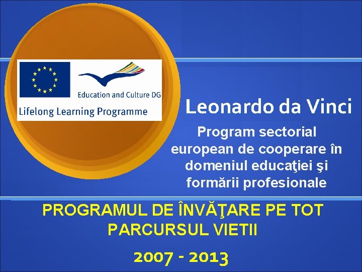 Leonardo da Vinci Program sectorial european de cooperare în domeniul educaţiei şi formării profesionale
