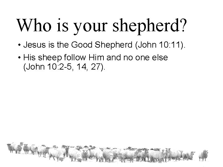 Who is your shepherd? • Jesus is the Good Shepherd (John 10: 11). •
