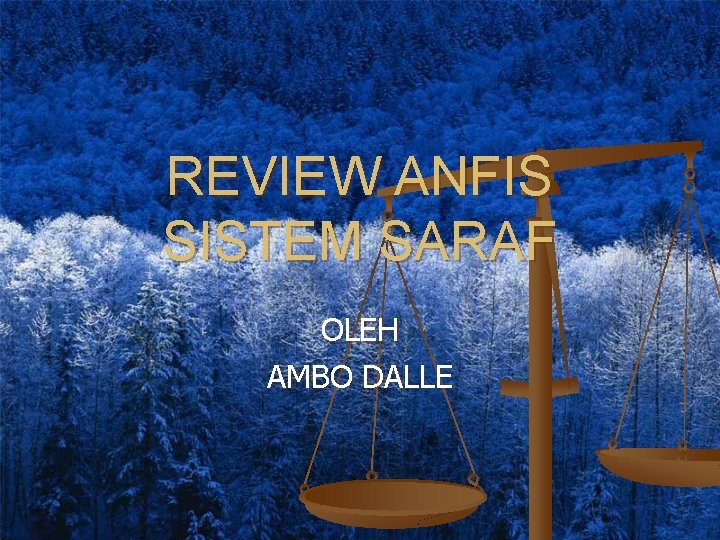 REVIEW ANFIS SISTEM SARAF OLEH AMBO DALLE 