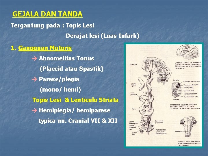 GEJALA DAN TANDA Tergantung pada : Topis Lesi Derajat lesi (Luas Infark) 1. Gangguan