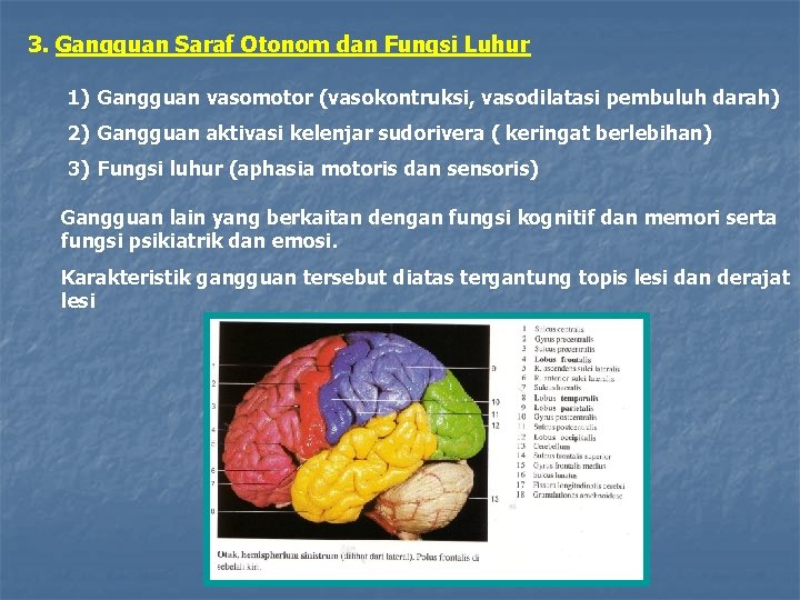 3. Gangguan Saraf Otonom dan Fungsi Luhur 1) Gangguan vasomotor (vasokontruksi, vasodilatasi pembuluh darah)