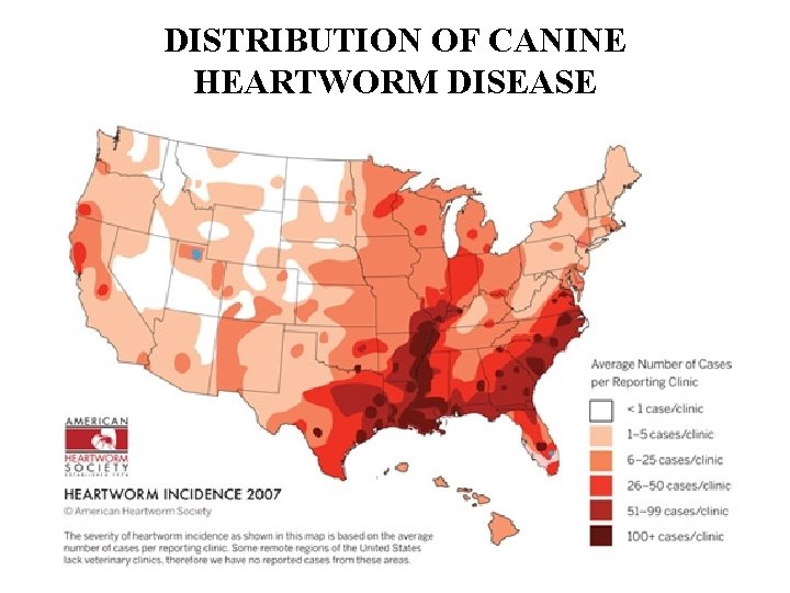 DISTRIBUTION OF CANINE HEARTWORM DISEASE 