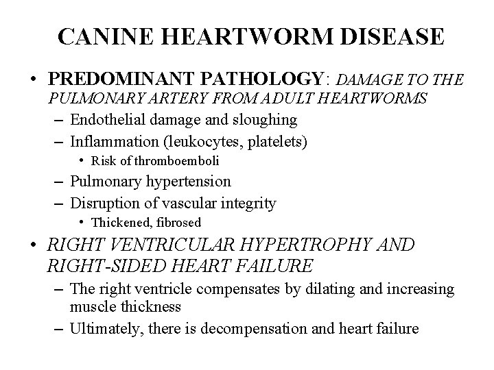 CANINE HEARTWORM DISEASE • PREDOMINANT PATHOLOGY: DAMAGE TO THE PULMONARY ARTERY FROM ADULT HEARTWORMS