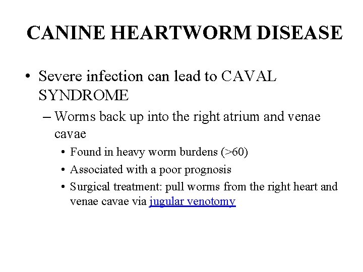 CANINE HEARTWORM DISEASE • Severe infection can lead to CAVAL SYNDROME – Worms back