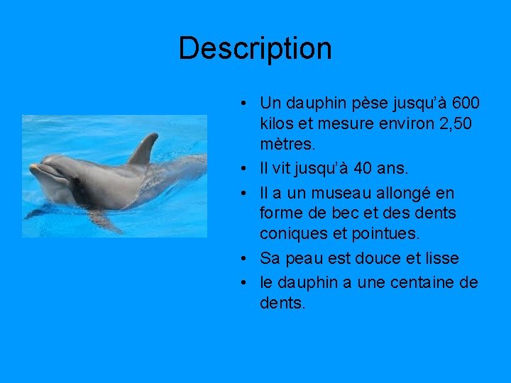 Les Dauphins Expos de Lucas Wild CE 2 — free download