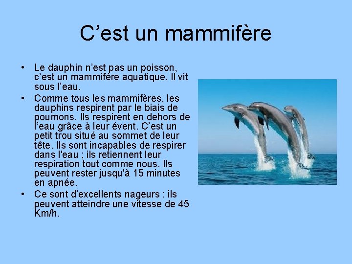 C’est un mammifère • Le dauphin n’est pas un poisson, c’est un mammifère aquatique. C’est un mammifère • Le dauphin n’est pas un poisson, c’est un mammifère aquatique.