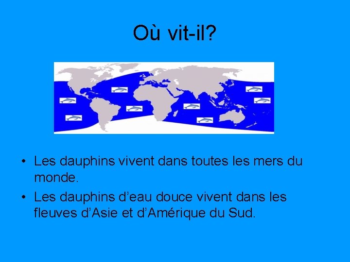 Où vit-il? • Les dauphins vivent dans toutes les mers du monde. • Les Où vit-il? • Les dauphins vivent dans toutes les mers du monde. • Les