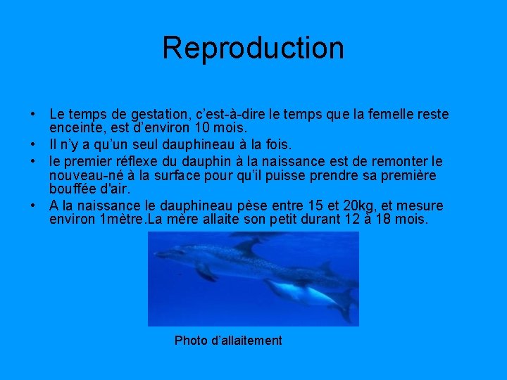 Les Dauphins Expos de Lucas Wild CE 2 — free download