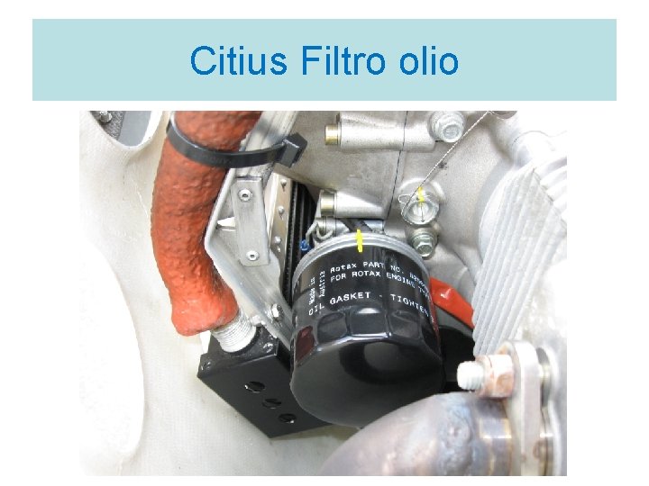 Citius Filtro olio 