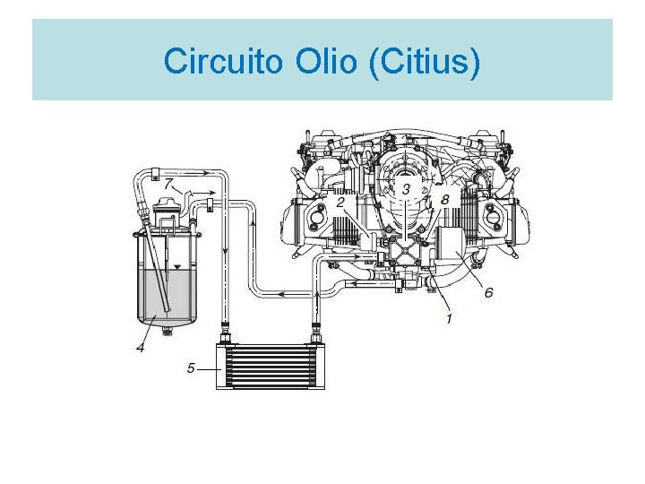 Circuito Olio (Citius) 