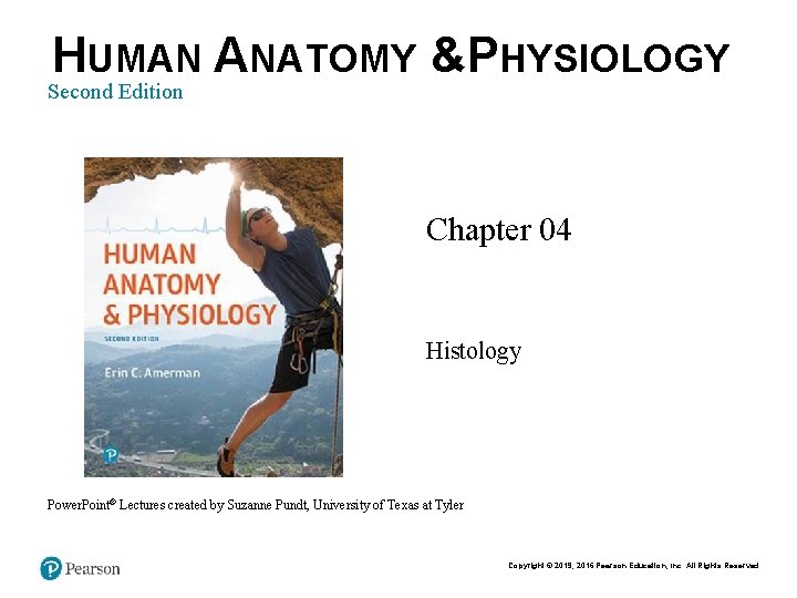 HUMAN ANATOMY &PHYSIOLOGY Second Edition Chapter 04 Histology Power. Point® Lectures created by Suzanne