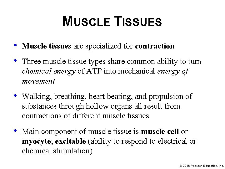 MUSCLE TISSUES • • Muscle tissues are specialized for contraction • Walking, breathing, heart