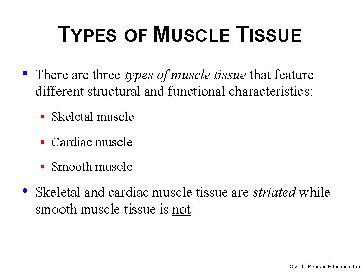 TYPES OF MUSCLE TISSUE • There are three types of muscle tissue that feature