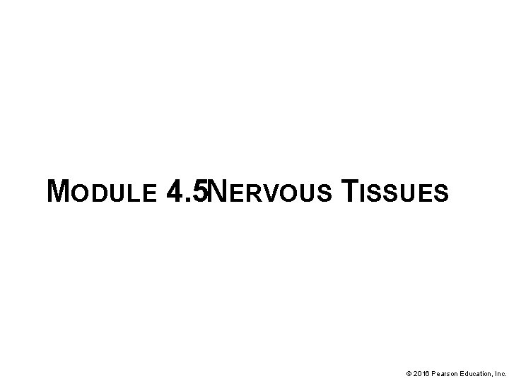 MODULE 4. 5 NERVOUS TISSUES © 2016 Pearson Education, Inc. 