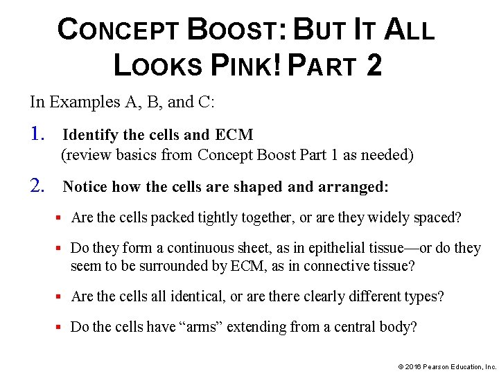 CONCEPT BOOST: BUT IT ALL LOOKS PINK! PART 2 In Examples A, B, and