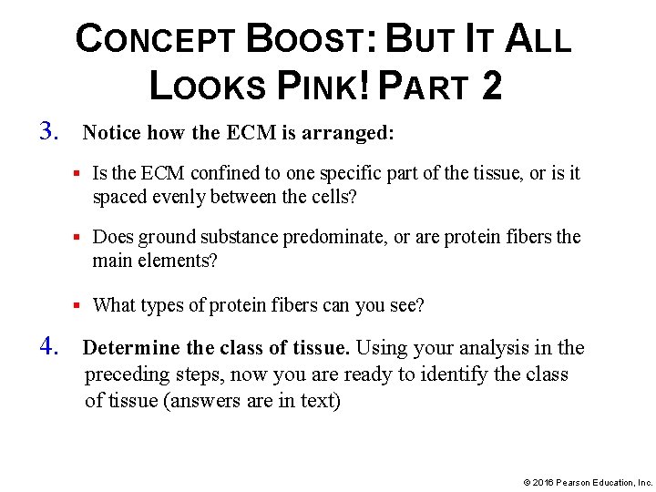 CONCEPT BOOST: BUT IT ALL LOOKS PINK! PART 2 3. Notice how the ECM