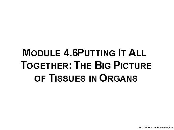 MODULE 4. 6 PUTTING IT ALL TOGETHER: THE BIG PICTURE OF TISSUES IN ORGANS