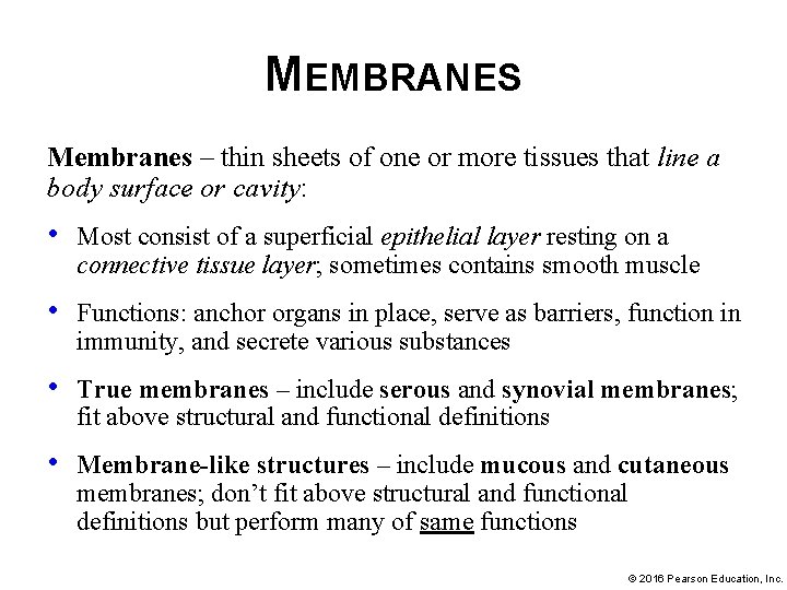 MEMBRANES Membranes – thin sheets of one or more tissues that line a body