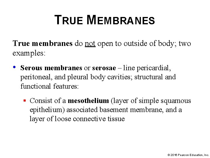 TRUE MEMBRANES True membranes do not open to outside of body; two examples: •