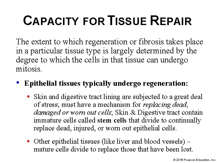 CAPACITY FOR TISSUE REPAIR The extent to which regeneration or fibrosis takes place in