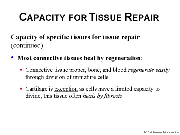CAPACITY FOR TISSUE REPAIR Capacity of specific tissues for tissue repair (continued): • Most